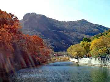 澳门一码一肖一待一中今晚，china.cn